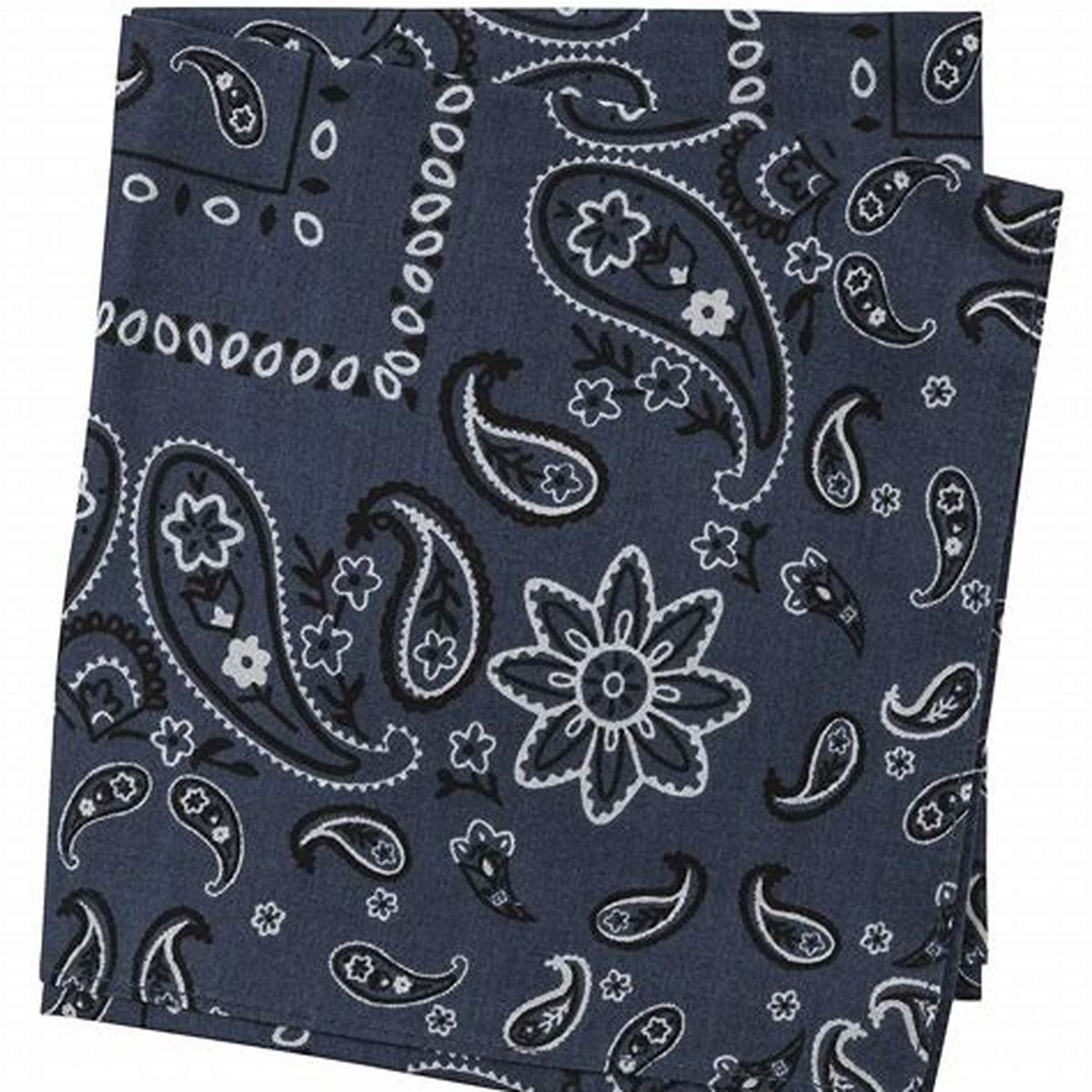 BugsAway Paisley Bandana