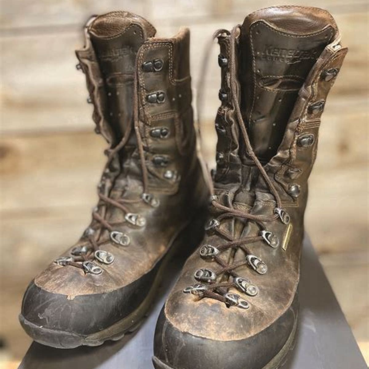 Mountain Extreme Pac Boot