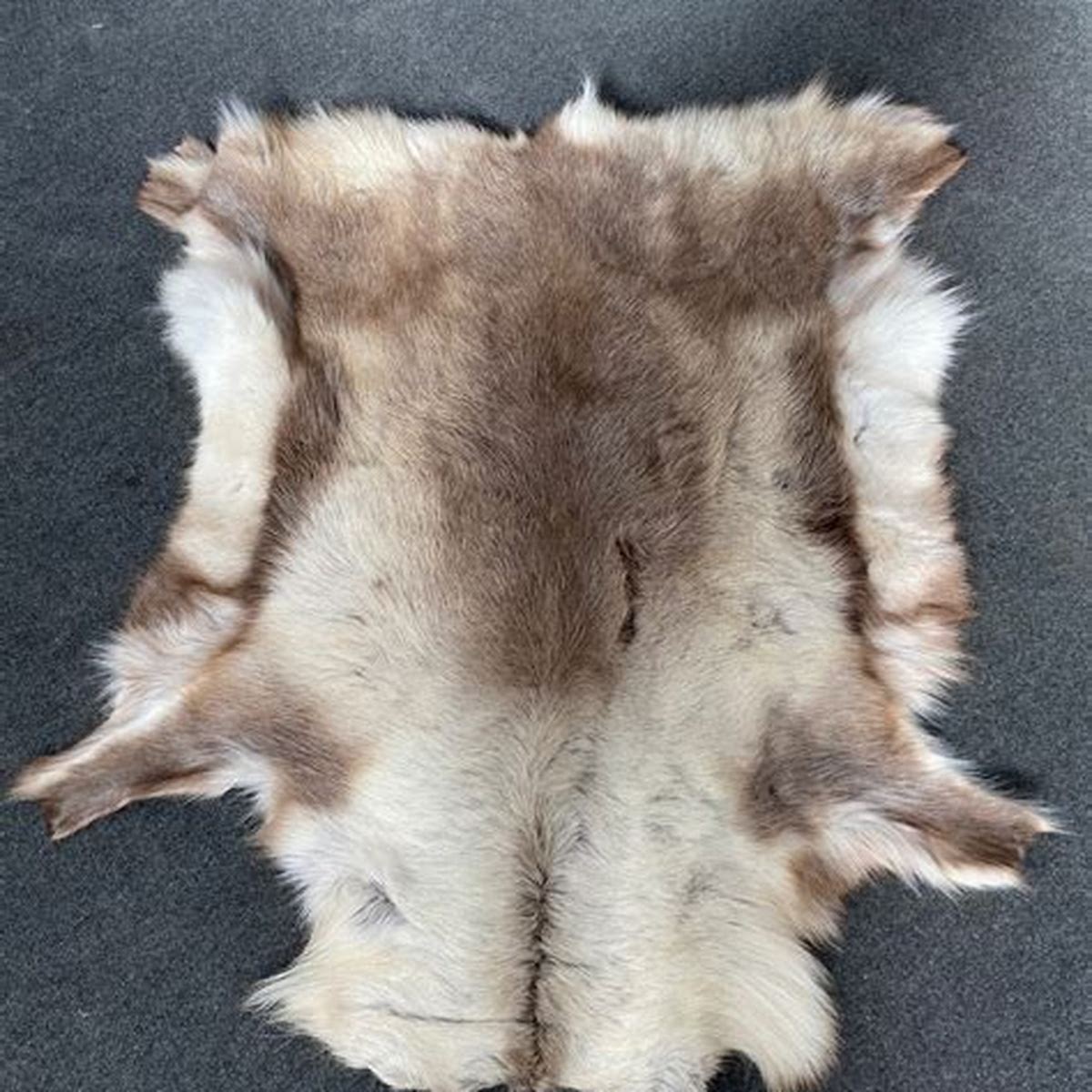 Camp Blankets & Natural Hides — Wild10Basecamp