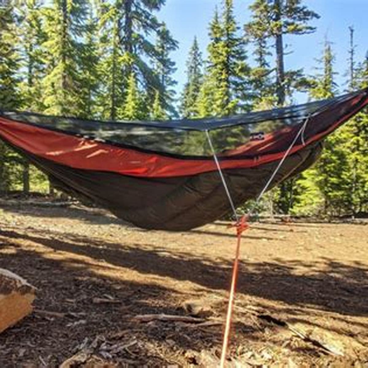 Blackbird Hammock