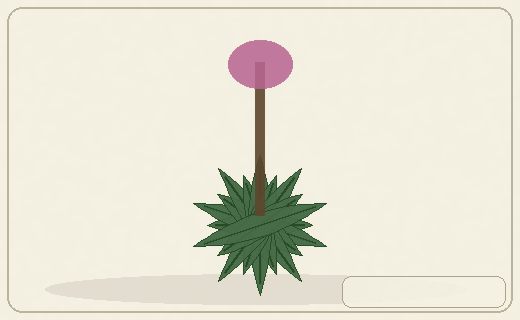Stylized form diagram for African aloes
