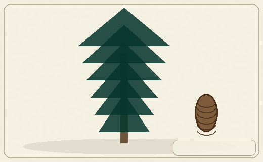 Stylized form diagram for Black spruce