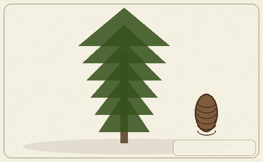 Stylized form diagram for Deodar cedar