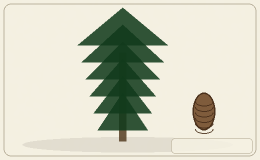 Stylized form diagram for Siberian spruce